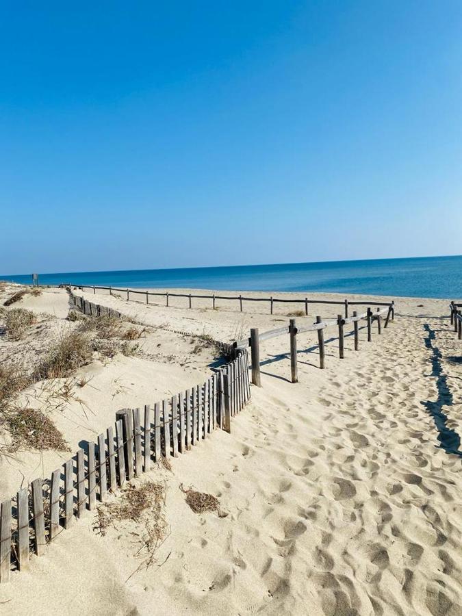 Paradis Bleu Vue Mer, Direct Plage Le Barcarès Exteriér fotografie
